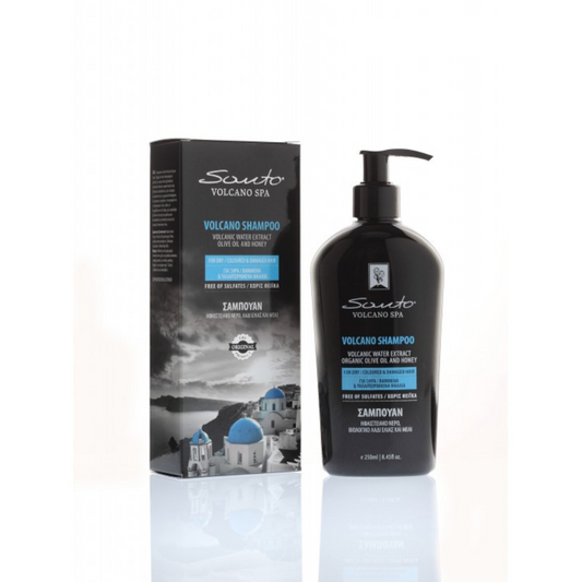 Shampoo for Dry, Damaged, and Colored Hair, 250ml